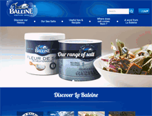 Tablet Screenshot of labaleine.com